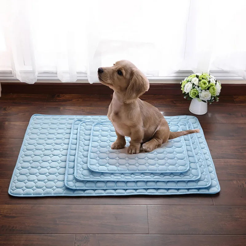 KühlPfote - Kühlmatte für Hunde und Katzen