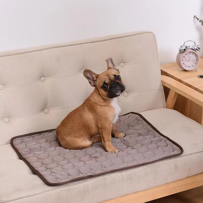 KühlPfote - Kühlmatte für Hunde und Katzen