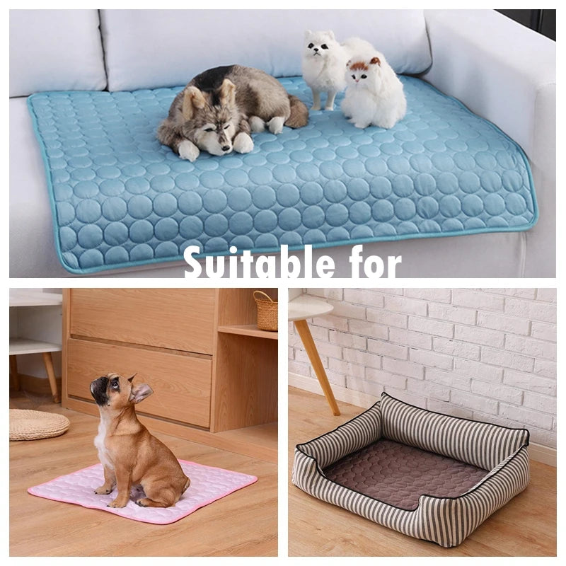 KühlPfote - Kühlmatte für Hunde und Katzen