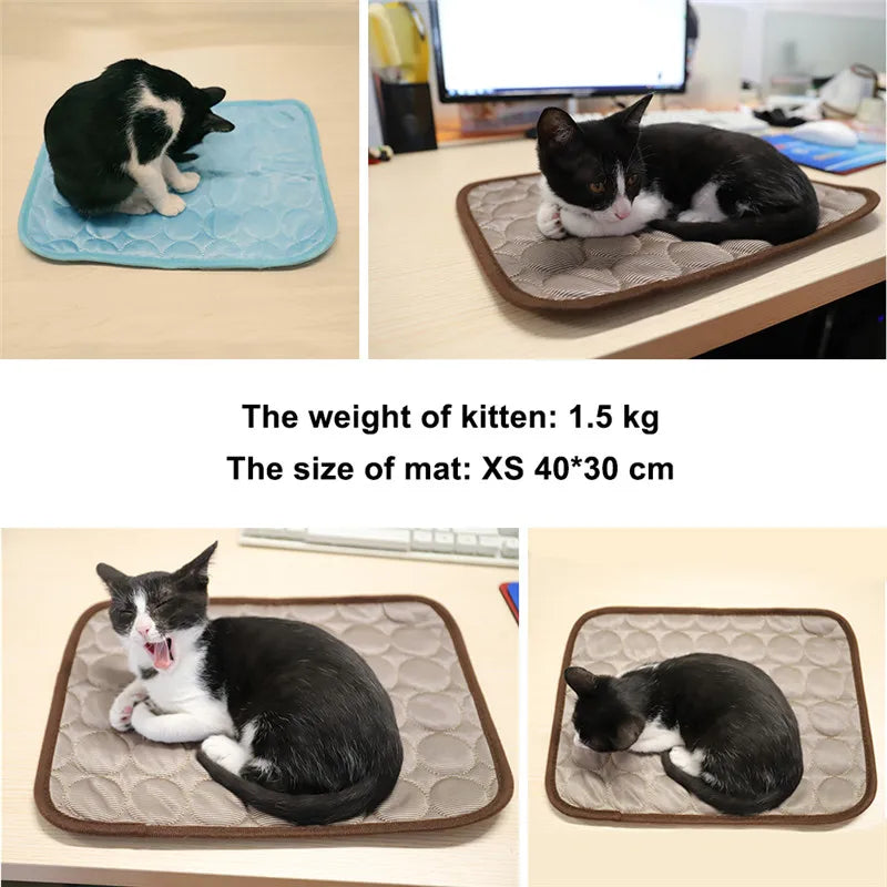 KühlPfote - Kühlmatte für Hunde und Katzen
