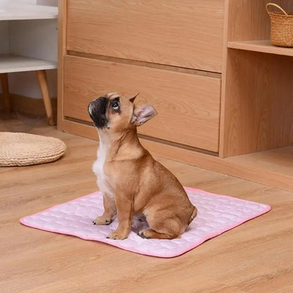 KühlPfote - Kühlmatte für Hunde und Katzen